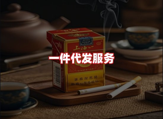 专业团队